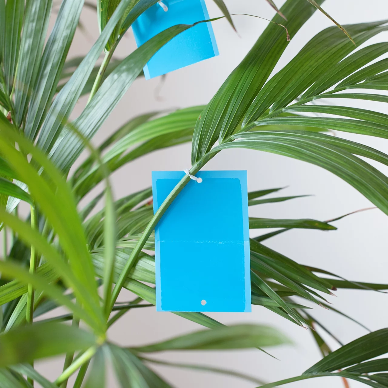 © Papírna Moudrý s.r.o.