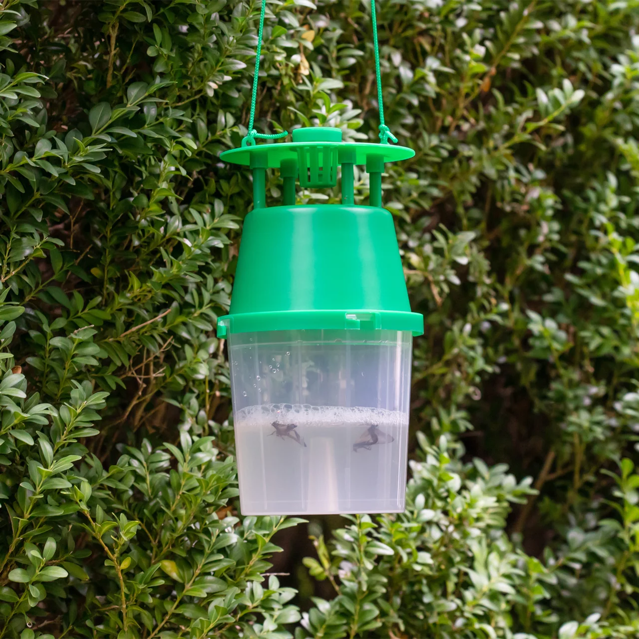 © Andermatt Biogarten AG