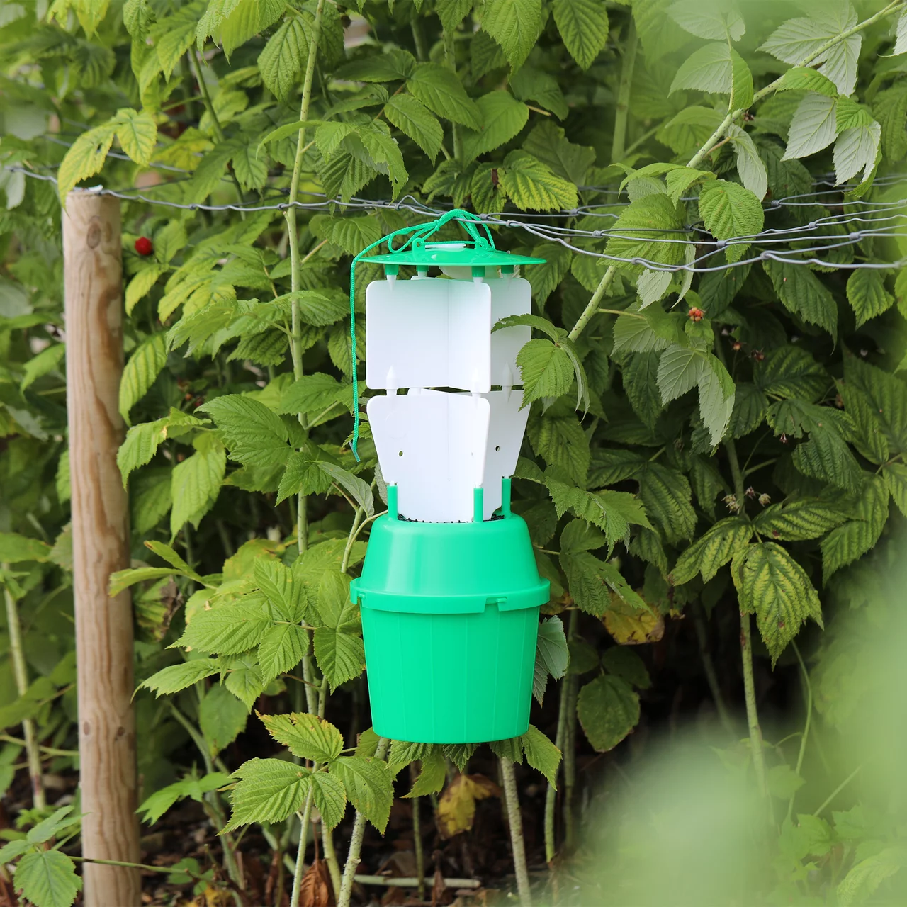 © Andermatt Biocontrol Suisse AG