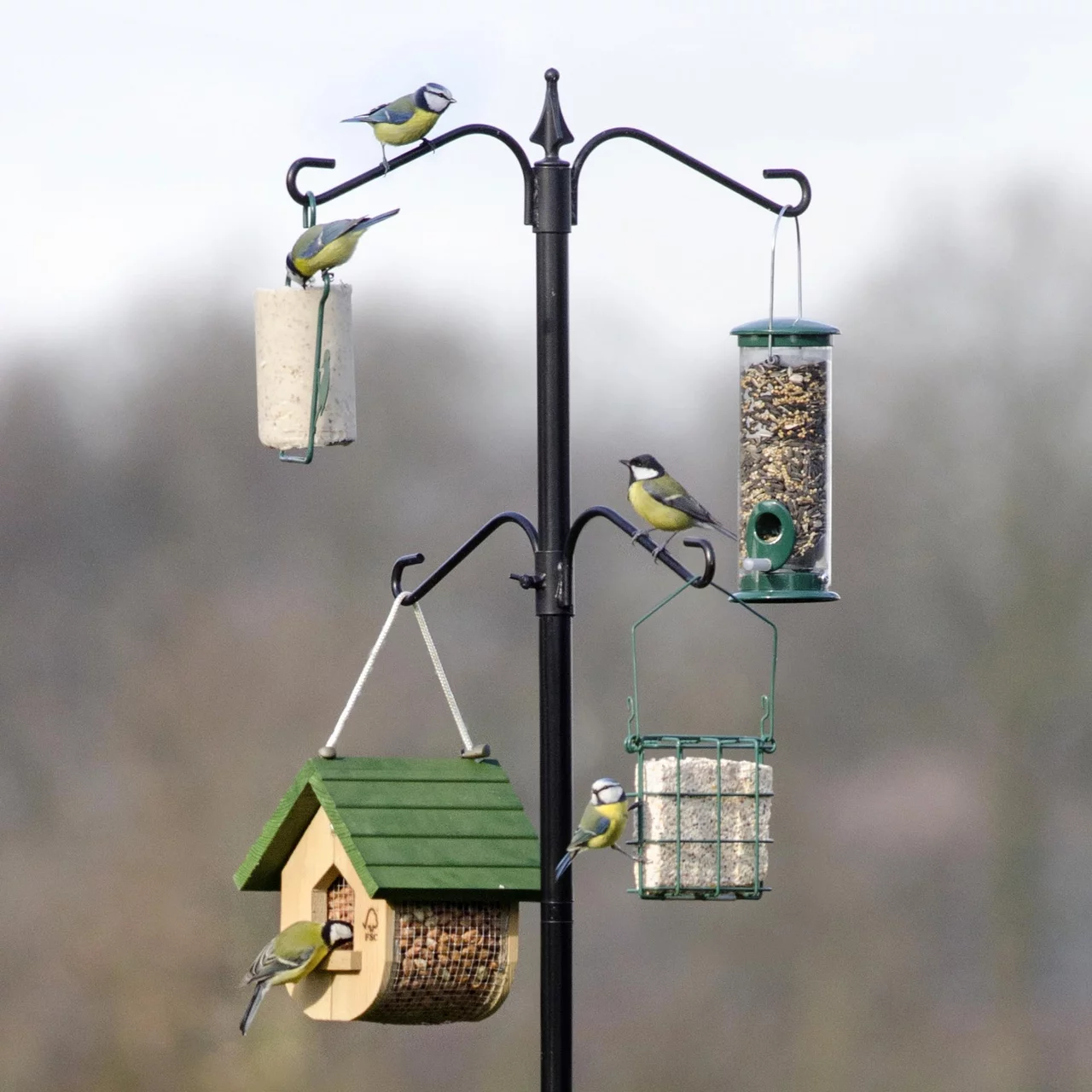 © CJ WildBird Foods Ltd