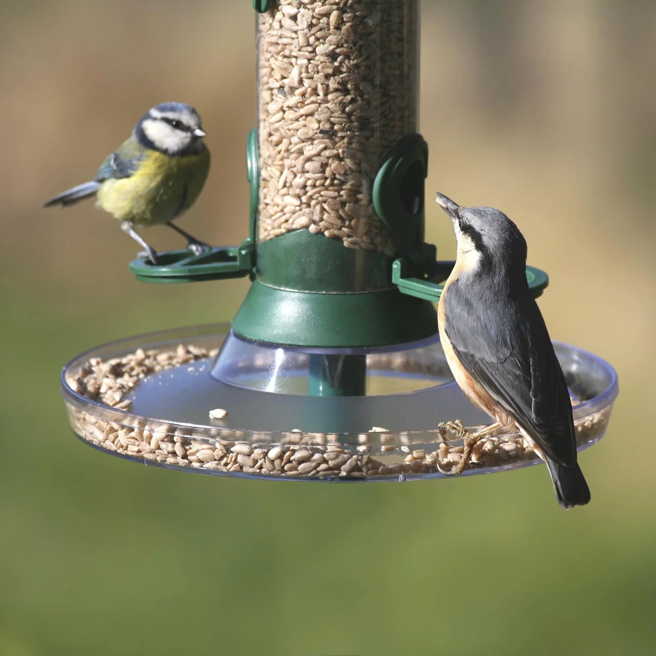 © CJ WildBird Foods Ltd