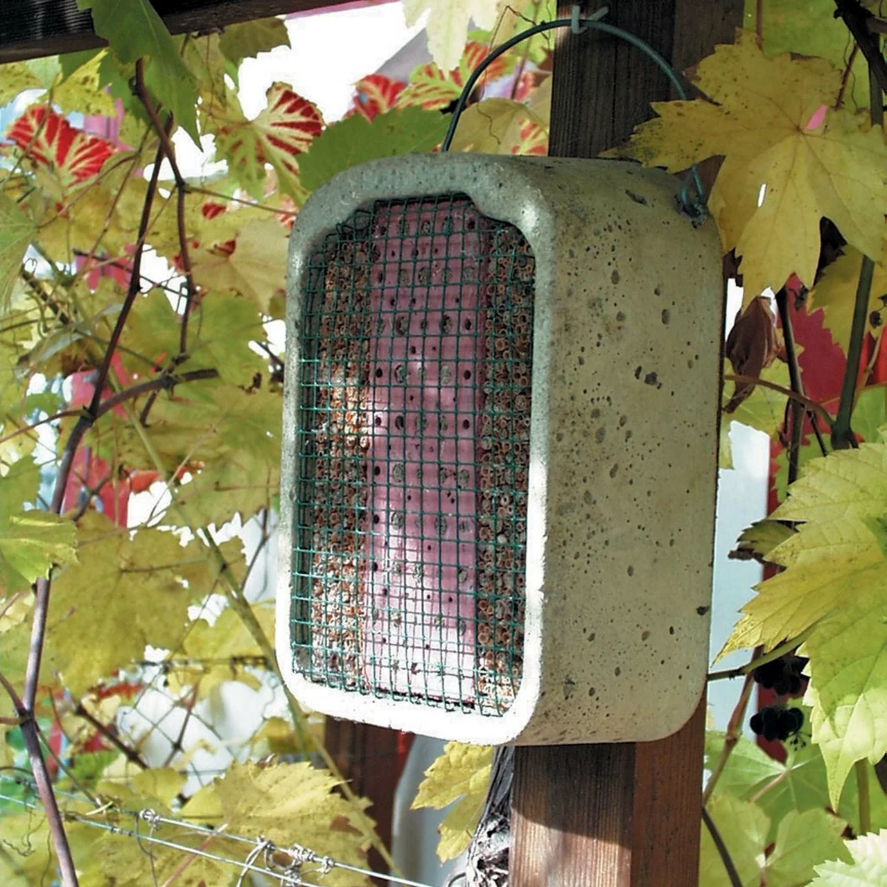 © Andermatt Biogarten AG