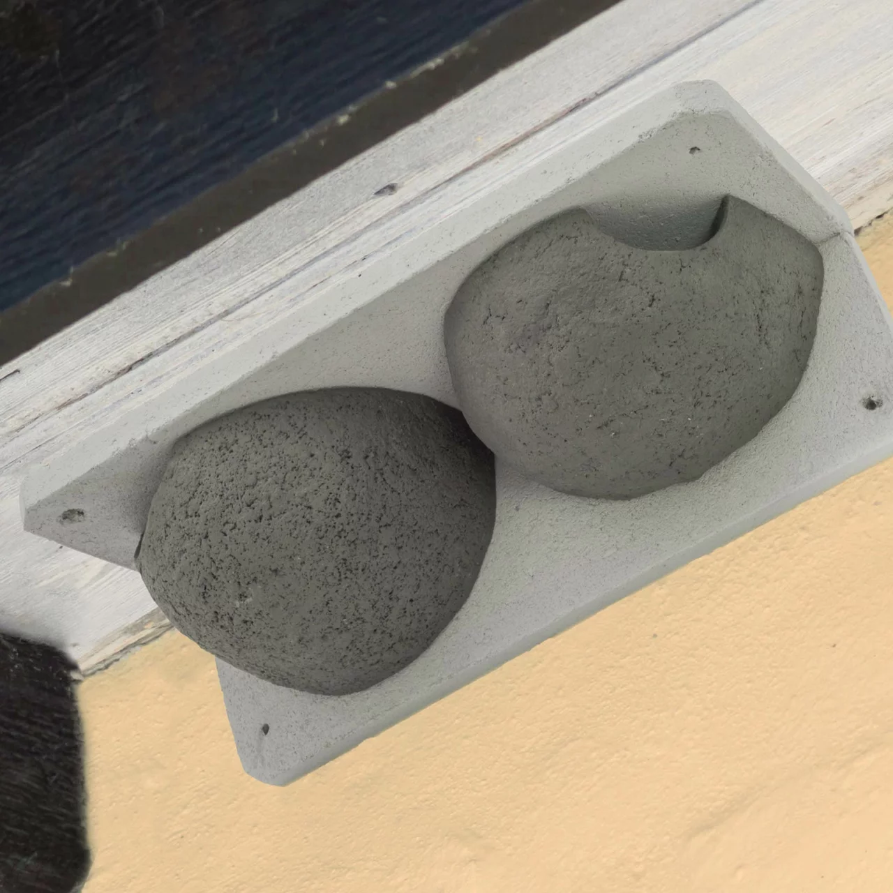 © CJ WildBird Foods Ltd