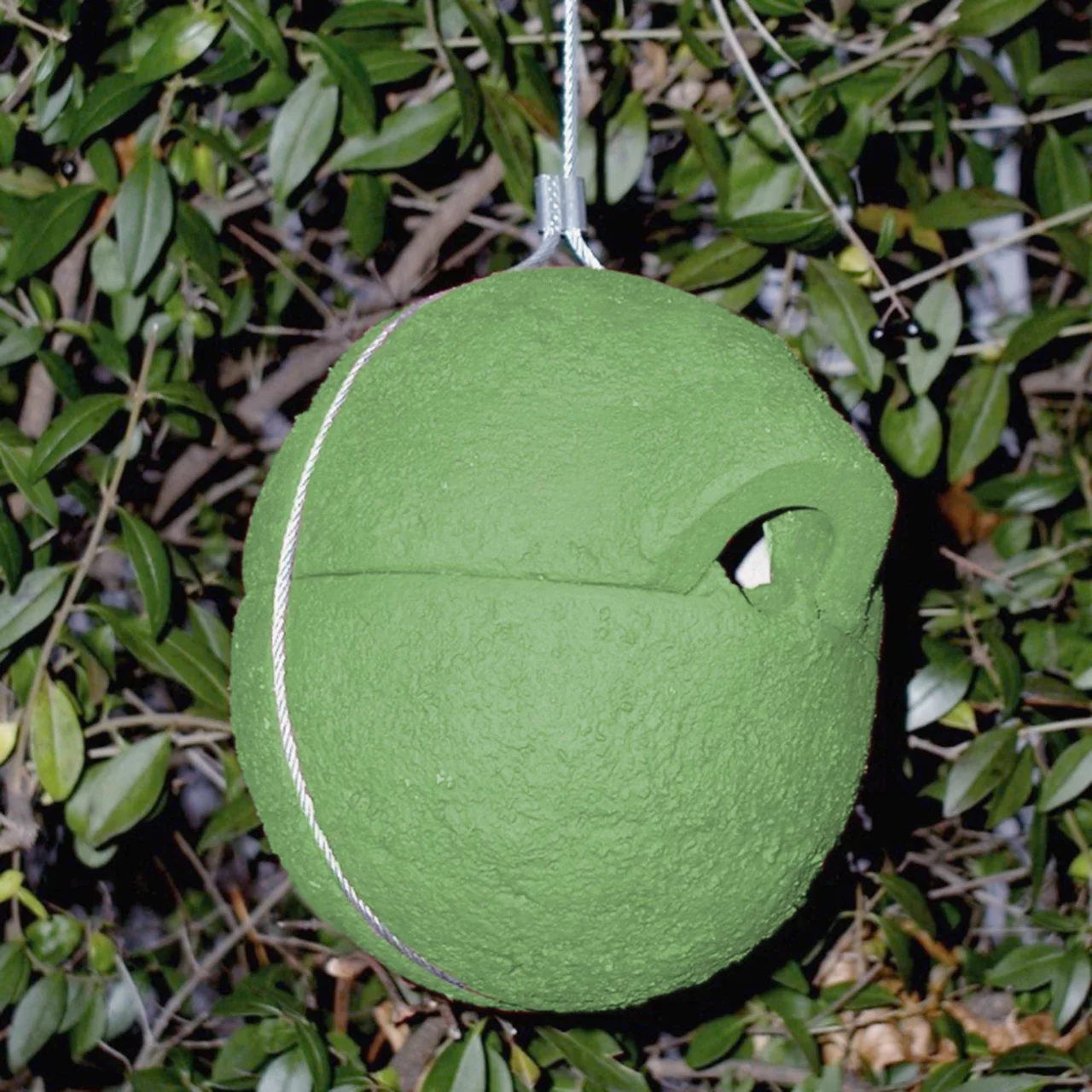 © Andermatt Biogarten AG