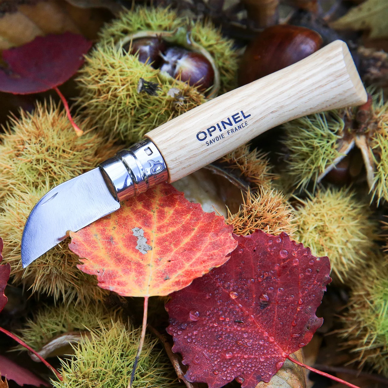 © Andermatt Biogarten AG