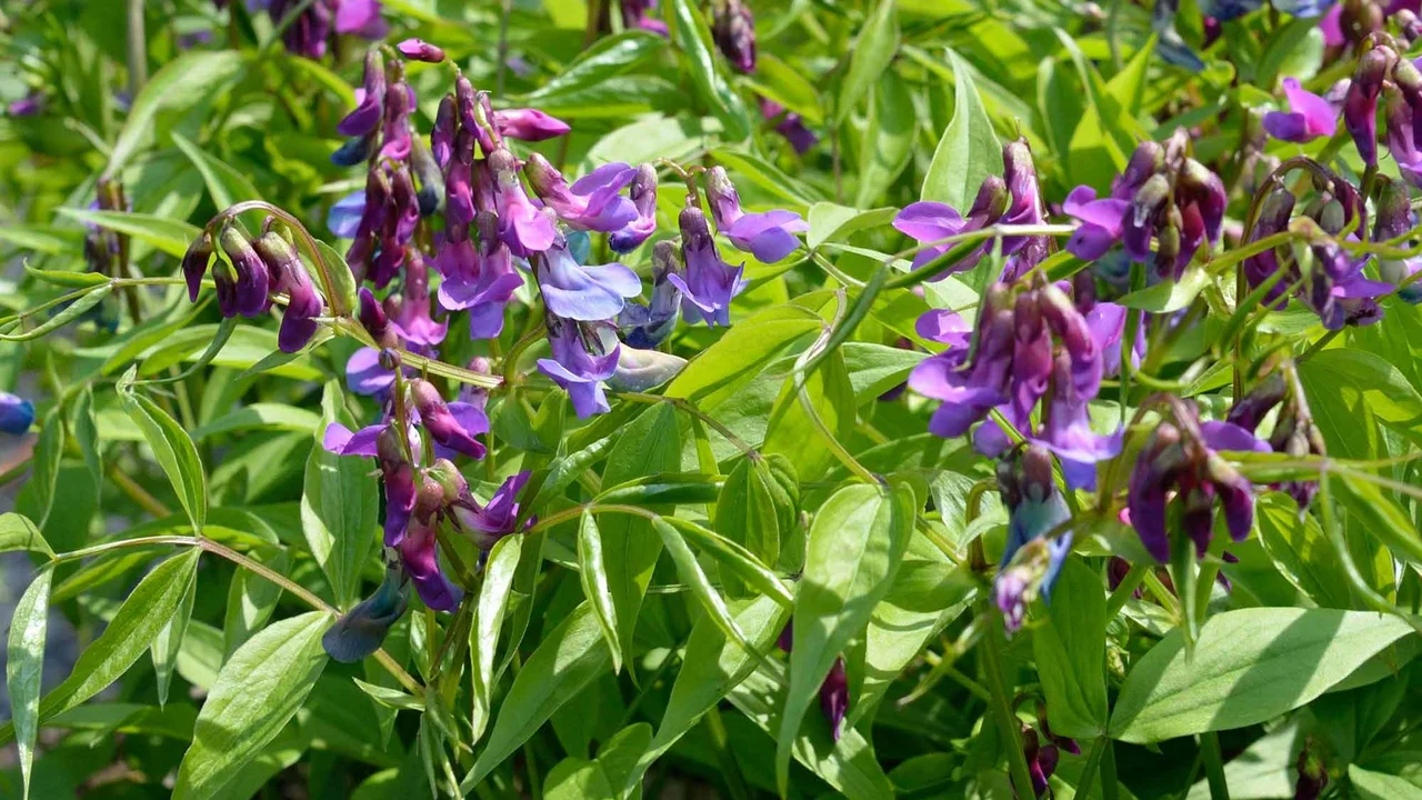 © Hospenthal-Kägi AG