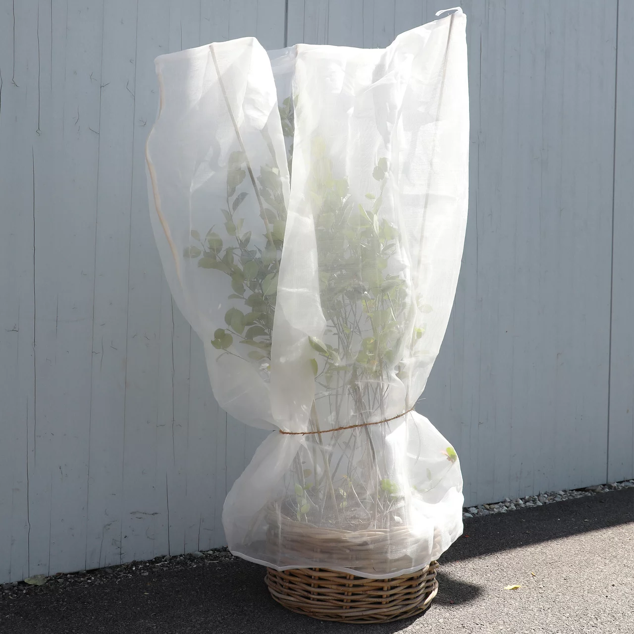 © Andermatt Biogarten AG