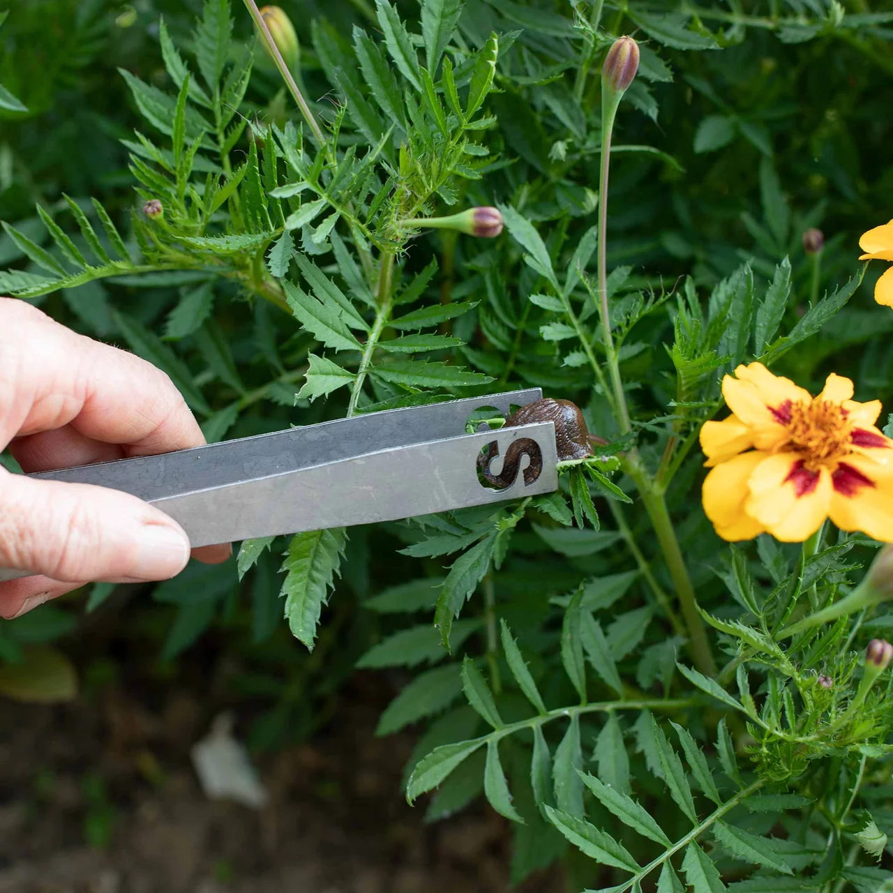 © Andermatt Biogarten AG