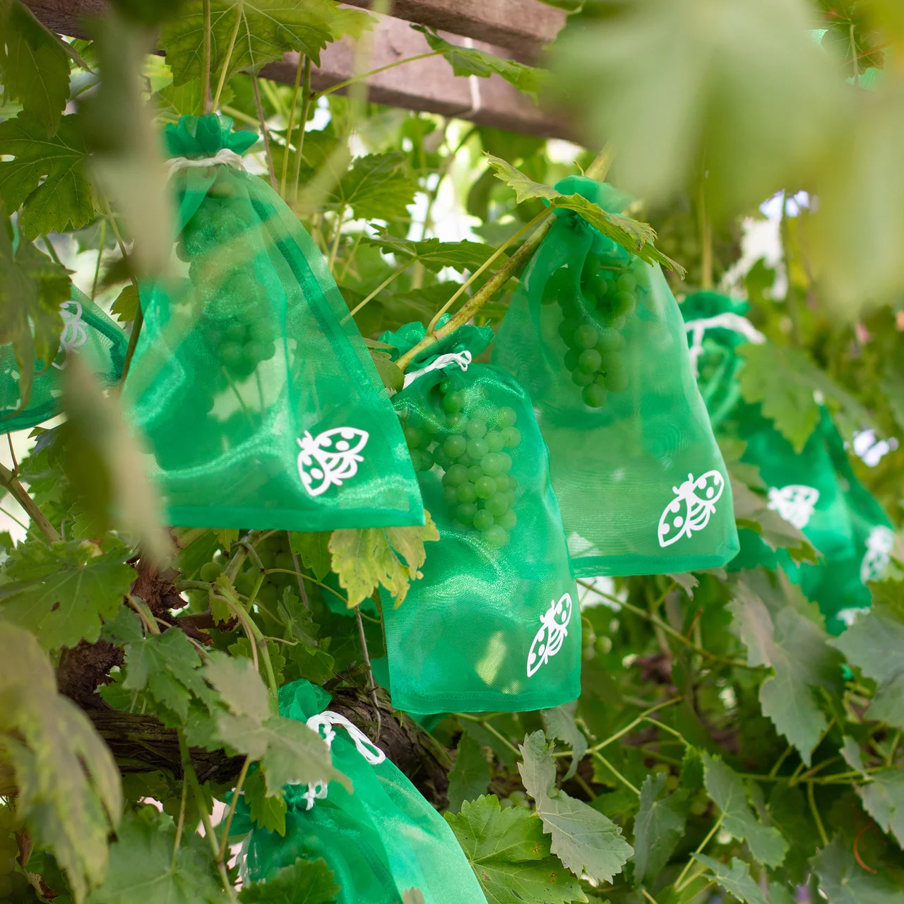 © GIA HUY MATTRESSCO.,LTD