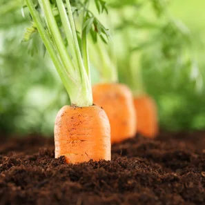 © Andermatt Biogarten AG