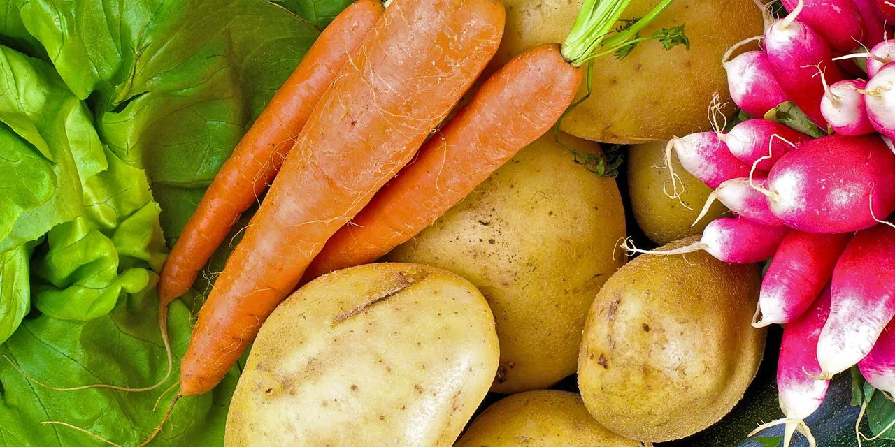 © Andermatt Biogarten AG