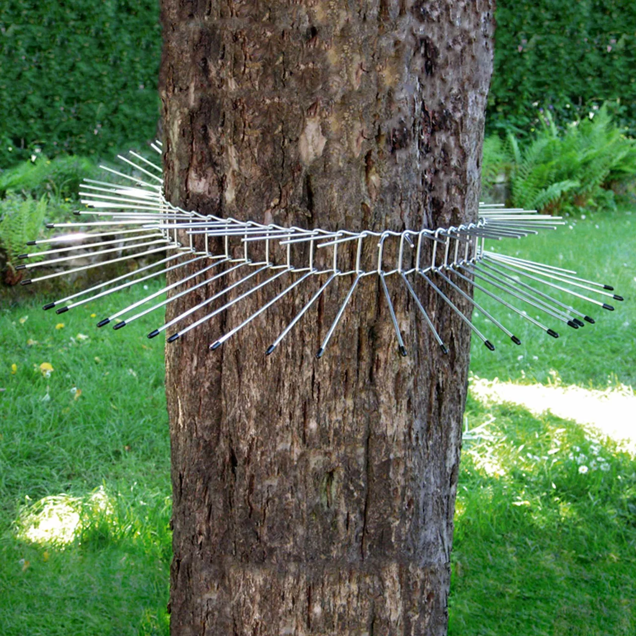 Schwegler Katzenabwehrgürtel bis 115 cm Baumumfang 