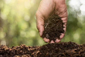 © Andermatt Biogarten AG