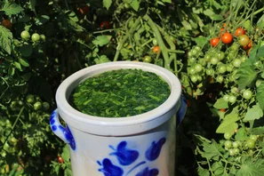 © Andermatt Biogarten AG