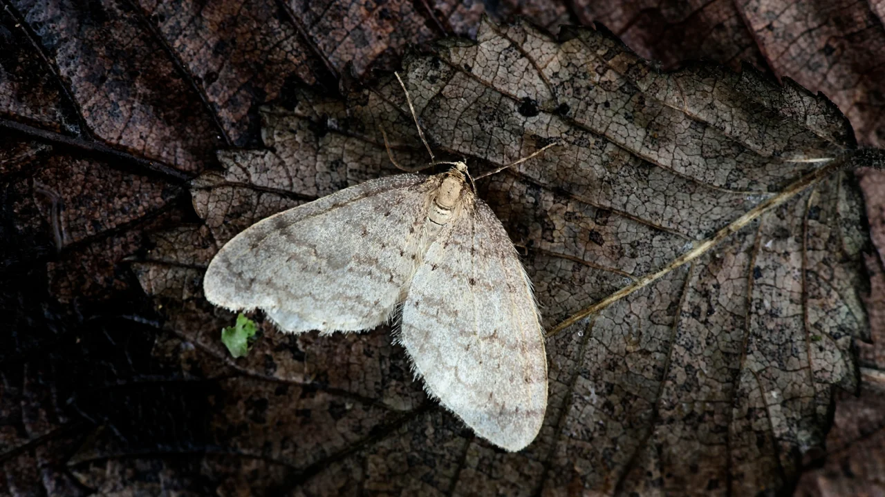 © Andermatt Biogarten AG