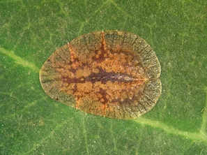 © Andermatt Biogarten AG