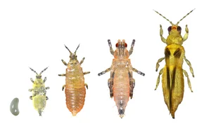 © Andermatt Biogarten AG