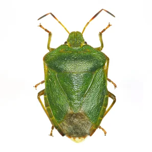 © Andermatt Biogarten AG