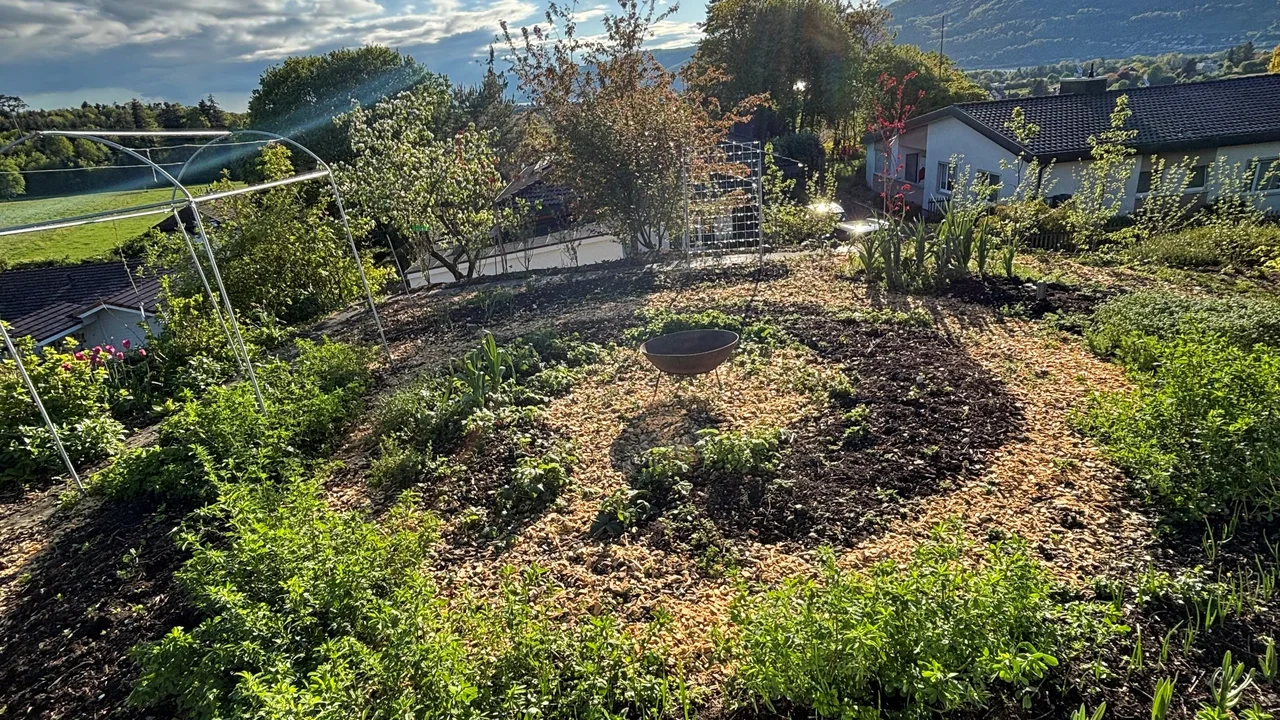 Do-Dig-Beet, April 2025 | © LoHe