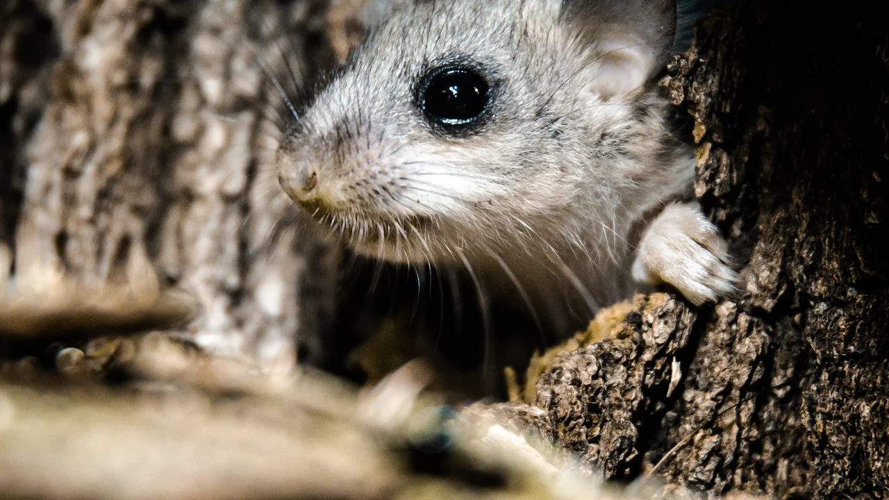 © Andermatt Biogarten AG