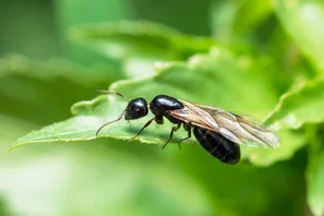 © Andermatt Biogarten AG